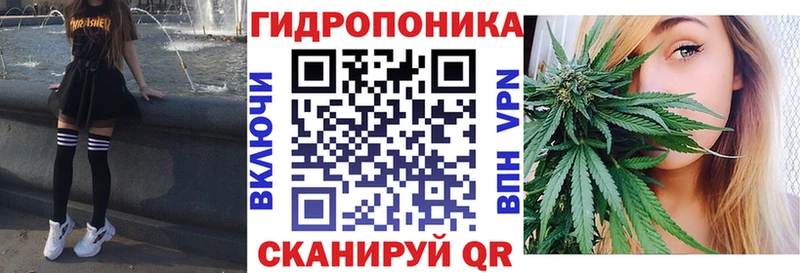 Магазины продажи наркотиков Бердск МАРИХУАНА  Alpha PVP  Амфетамин  COCAIN  Мефедрон 