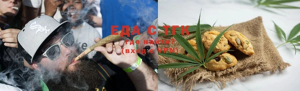 индика Медногорск