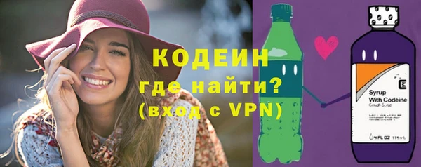 индика Медногорск