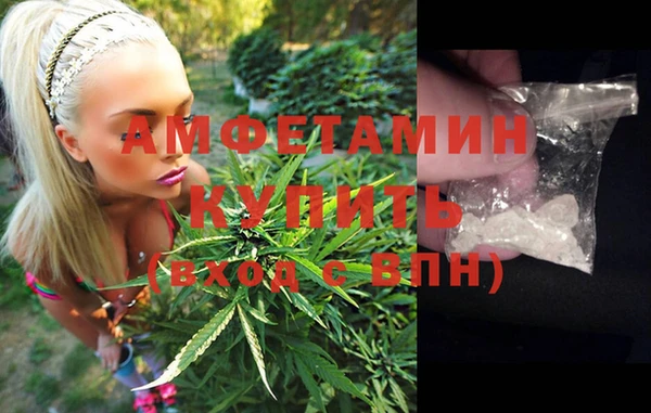 индика Медногорск