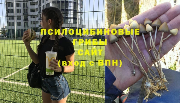 индика Медногорск