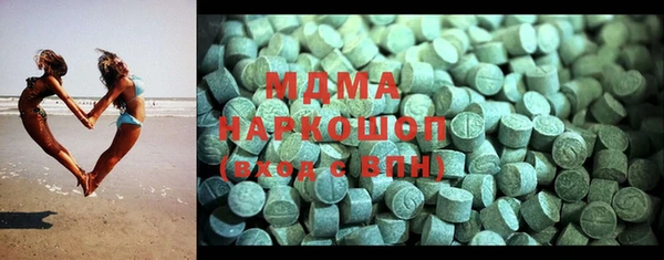 индика Медногорск