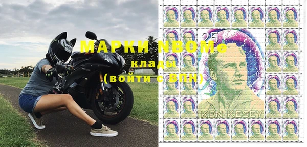 индика Медногорск