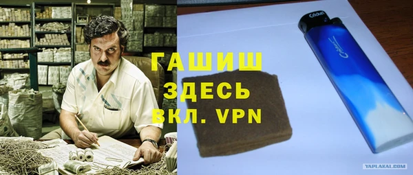 индика Медногорск