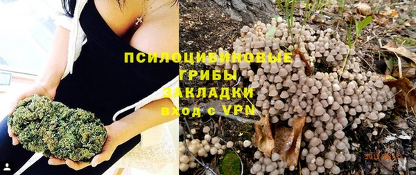 индика Медногорск